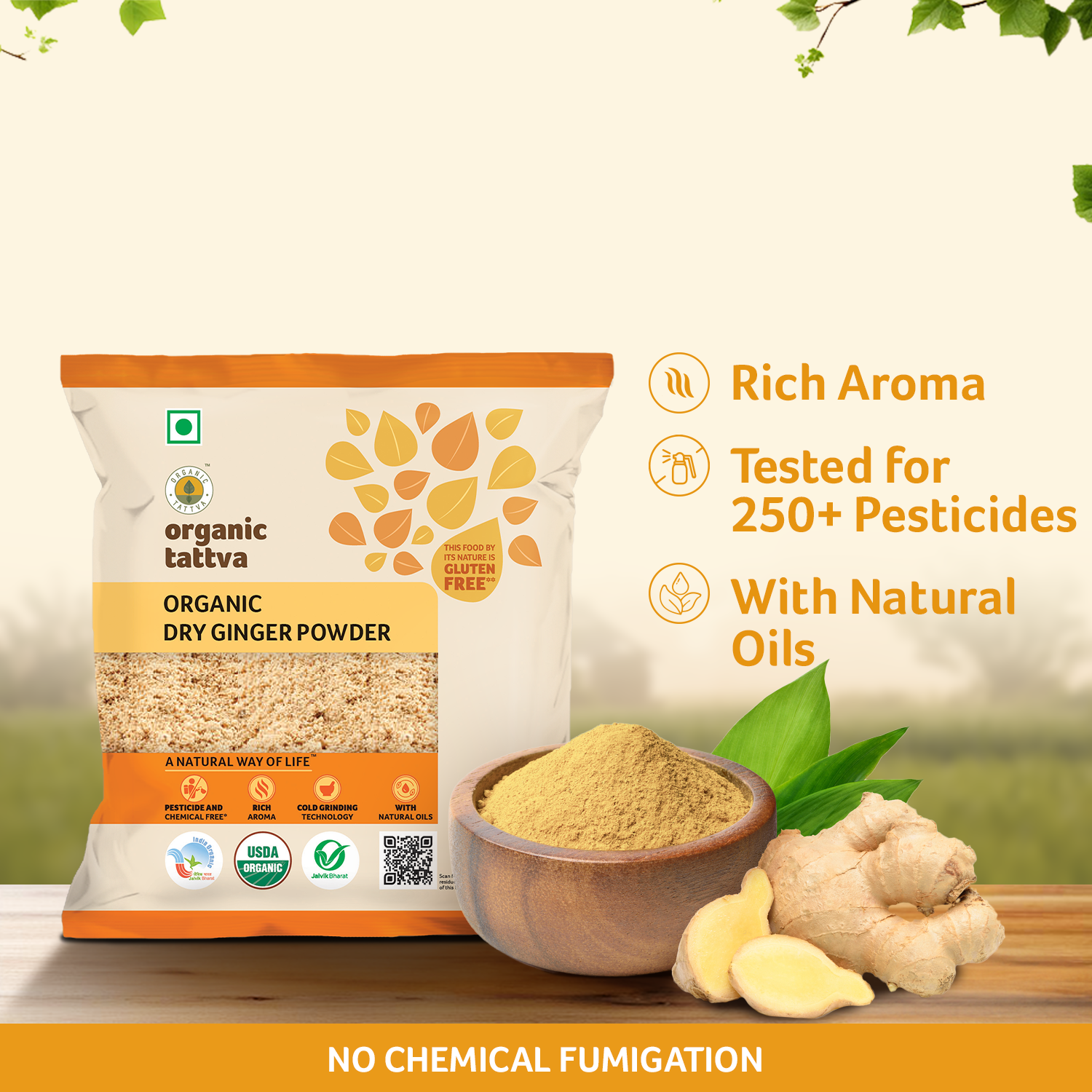 Organic Dry Ginger Powder