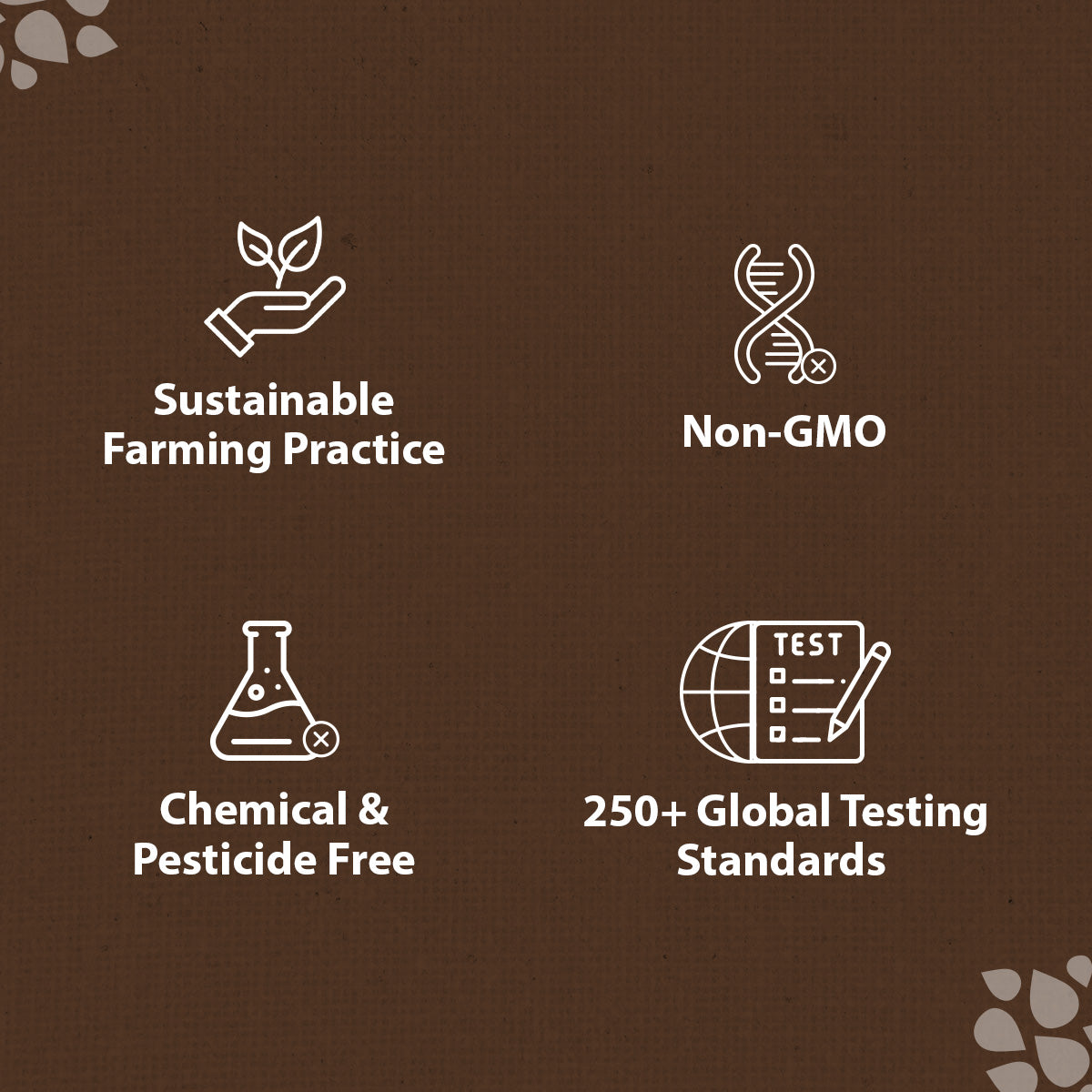 Organic Sonamasuri Rice White