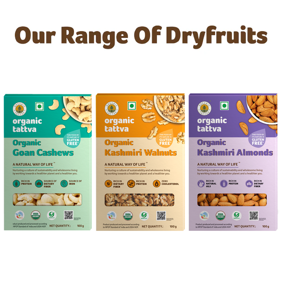 Premium Assorted Organic Dry Fruits Gift Pack - Cashew, Kashmiri Almonds, Walnuts