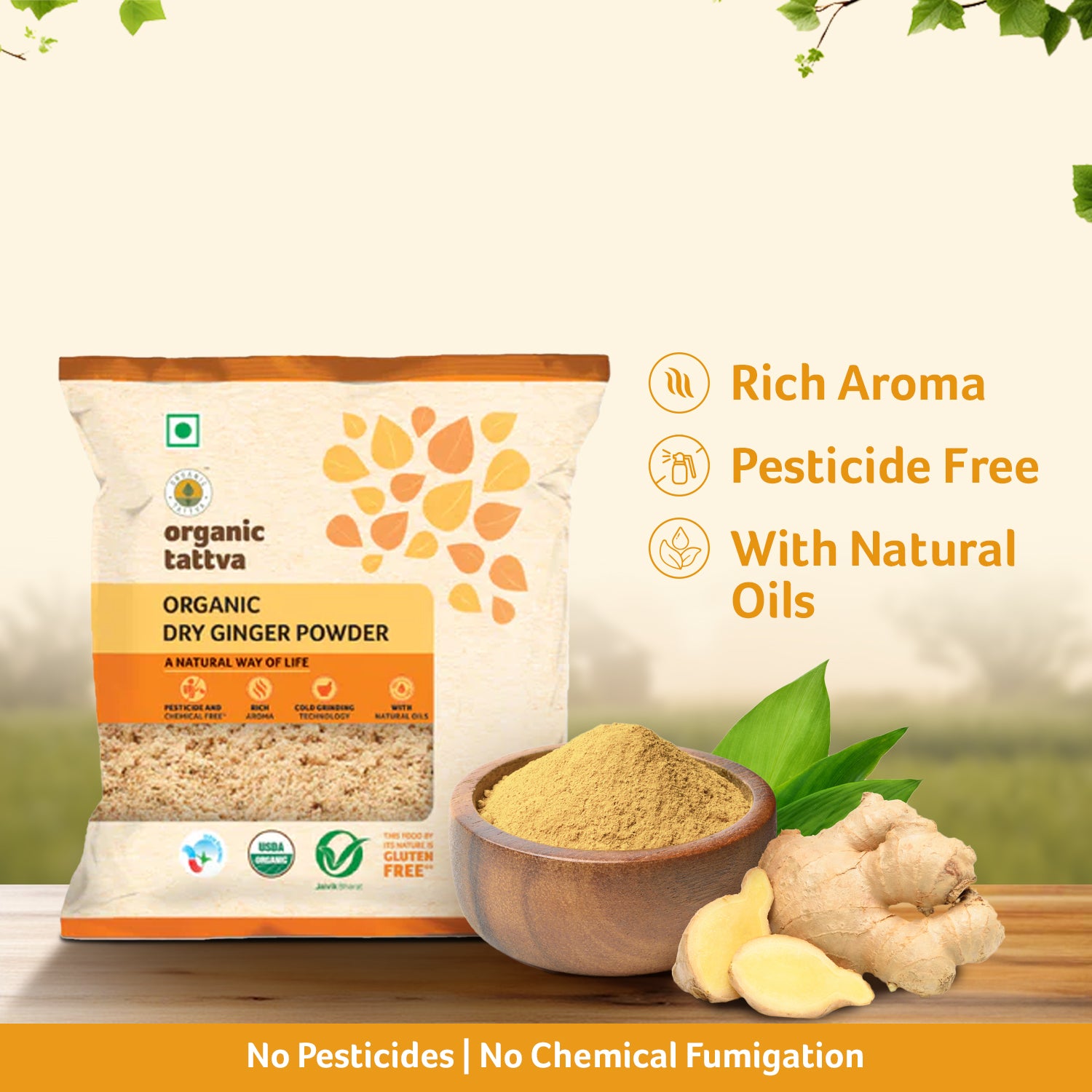 Organic Dry Ginger Powder