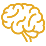 Boosts memory, focus & brain health